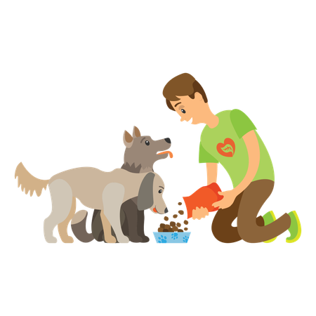 Aidez les animaux errants : Votre don sauve des vies !